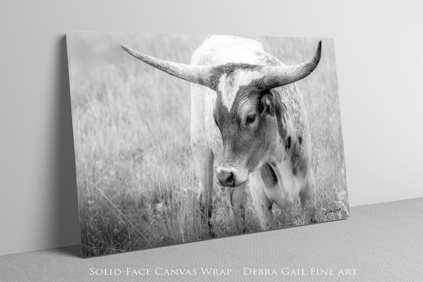 CUTE LONGHORN CALF PICTURE - FARMHOUSE COW NURSERY DECOR