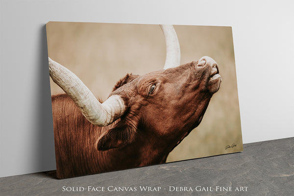 LONGHORN CLOSEUP COW PRINT - CANVAS FARMHOUSE DECOR