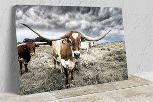 Longhorn cow wall decor canvas – rustic Western fine art print by Debra Gail Fine Art