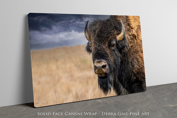 BISON BULL CLOSE UP PRINT - BUFFALO IN EARTH TONES