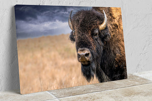 Gallery-wrapped bison canvas with archival giclée printing