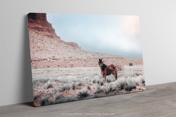 SOUTHWEST WILD HORSE ART PRINT