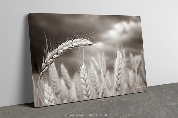 WHEATFIELD IN KANSAS - FARMHOUSE SEPIA DECOR