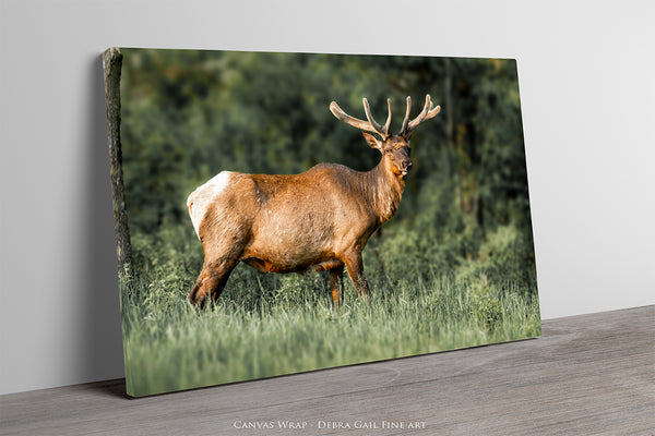 MAJESTIC ELK ART PRINT - RUSTIC CABIN DECOR