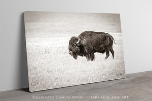 Western Buffalo Canvas | Bison Wall Art - Rustic Farmhouse Decor Print
