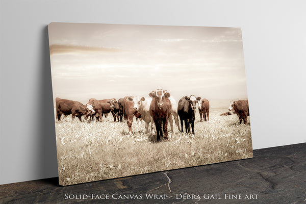 CATTLE ART PRINT - KANSAS PHOTOGRAPHY