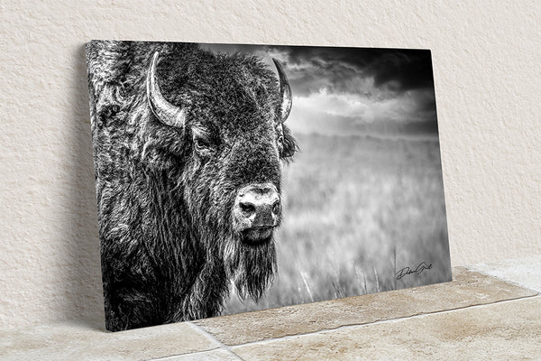 HUGE BISON CLOSE UP PRINT - BUFFALO WALL ART