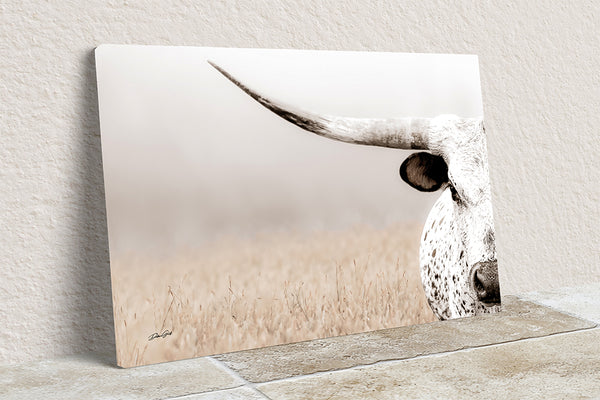 TEXAS LONGHORN CLOSE UP - CONTEMPORARY FARMHOUSE