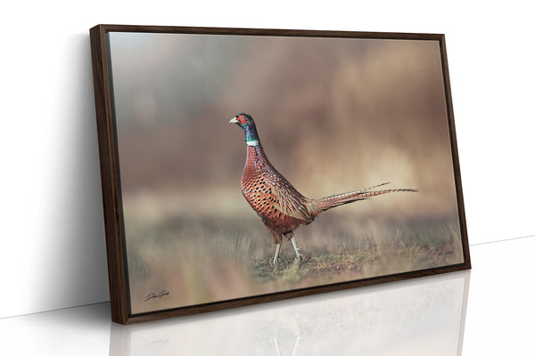 Pheasant Rooster Art Print - Rustic Wildlife Decor No. 0659