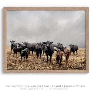 Black Angus Cattle Wall Art Canvas – Rustic Western Farmhouse Print