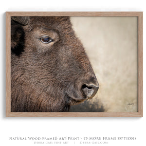 Bison wall art – rustic prairie photography print by Debra Gail Fine Art