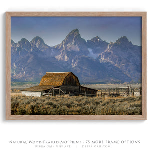 Old barn wall art canvas print – farmhouse decor by Debra Gail Fine Art