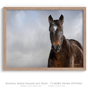 Horse wall art canvas print – rustic Western decor Debra Gail Fine Art
