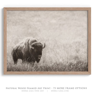 Minimalist Bison Canvas Art Print