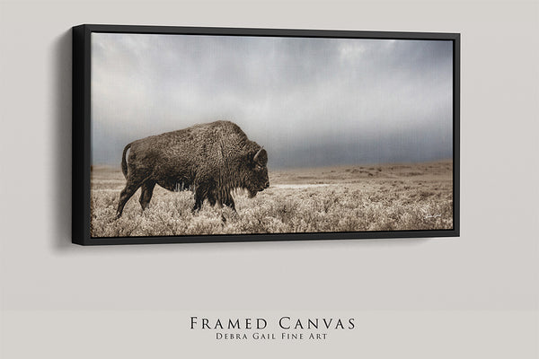 American Bison Panoramic Western Wall Art Canvas or Print