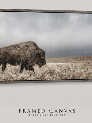 Bison wall art – rustic prairie photography print by Debra Gail Fine Art