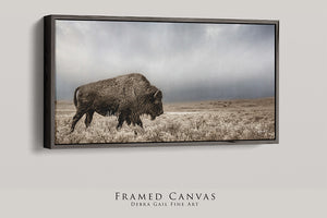 Bison wall art – rustic prairie photography print by Debra Gail Fine Art