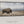Bison Panoramic Wall Art - Rustic Western Farmhouse Canvas Print