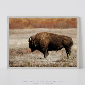 Rustic Bison Wall Art | Buffalo Canvas Print Western Farmhouse Decor