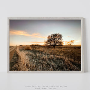 Prairie Sunset Canvas Wall Art | Kansas Flint Hills Rustic Landscape Print