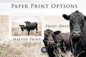 Black Angus cow calf wall art – fine art Western wildlife print by Debra Gail Fine Art