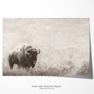 Minimalist Bison Canvas Art Print