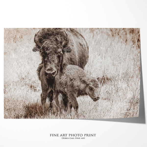 Mama Close Up Print or Canvas - Baby Buffalo - Rustic Western Decor