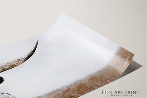 Rustic Longhorn Wall Art - Panoramic Cow Print | Western Farmhouse Decor Canvas