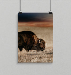 Vertical Bison Canvas Wall Art | Iconic American Buffalo Print