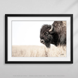 Bison wall art – rustic prairie photography print by Debra Gail Fine Art