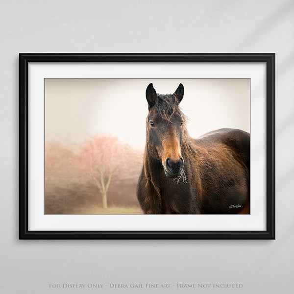 Wild Horse Art Print - Rustic Western Wall Decor - Wild Mustang