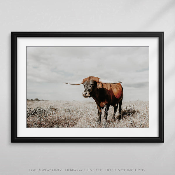 LARGE LONGHORN ART PRINT - WESTERN FARMHOUSE DECOR