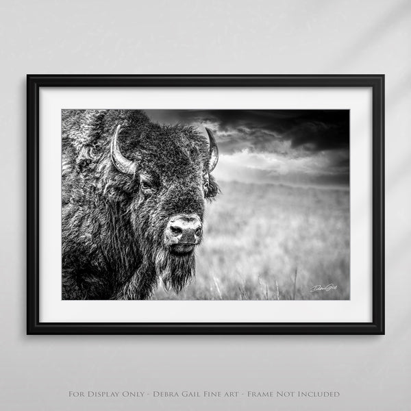 HUGE BISON CLOSE UP PRINT - BUFFALO WALL ART