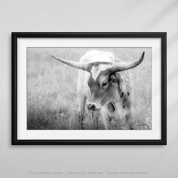 CUTE LONGHORN CALF PICTURE - FARMHOUSE COW NURSERY DECOR