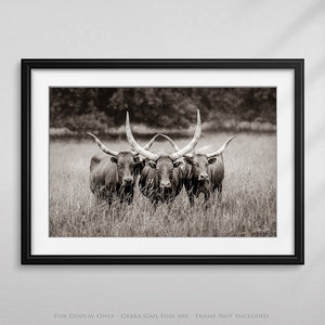 Texas Longhorn Watusi Art | Rustic Farmhouse Wall Decor