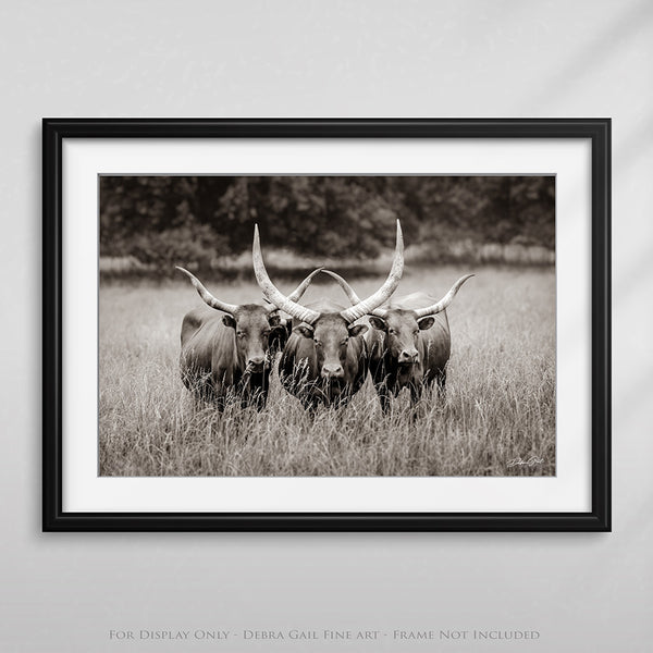 WATUSI LONGHORN ART - WESTERN DECOR