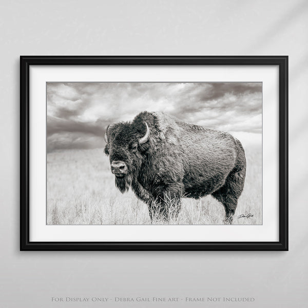 BISON BULL STANDING - RUSTIC DECOR BY DEBRA GAIL