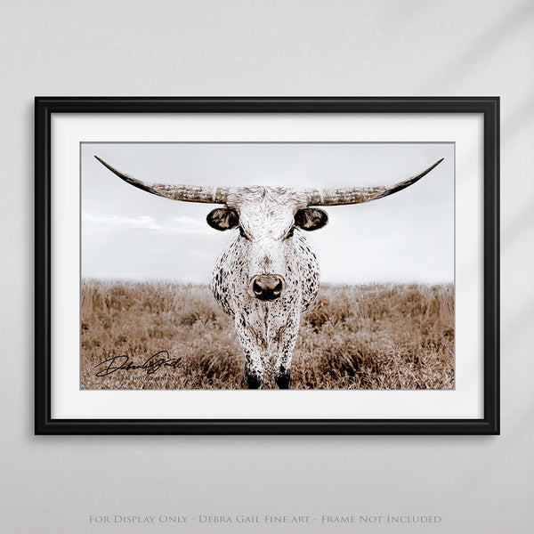 STALWART GAZE - THE LONE LONGHORN