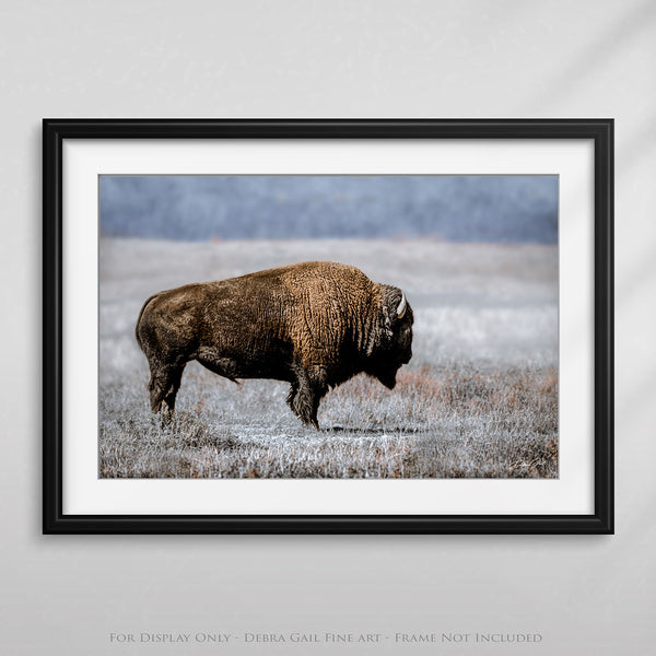 BISON WALL ART - BLUE EARTH TONES