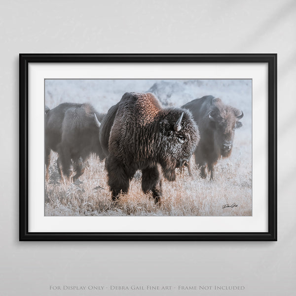 Bison in the Snow - Rustic Art Canvas Print No. 7745