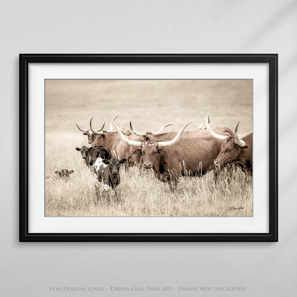 WATUSI LONGHORN COW PRINT OR CANVAS - FARMHOUSE DECOR