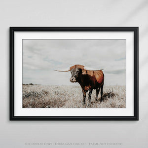 Longhorn cow wall decor canvas – rustic Western fine art print by Debra Gail Fine Art