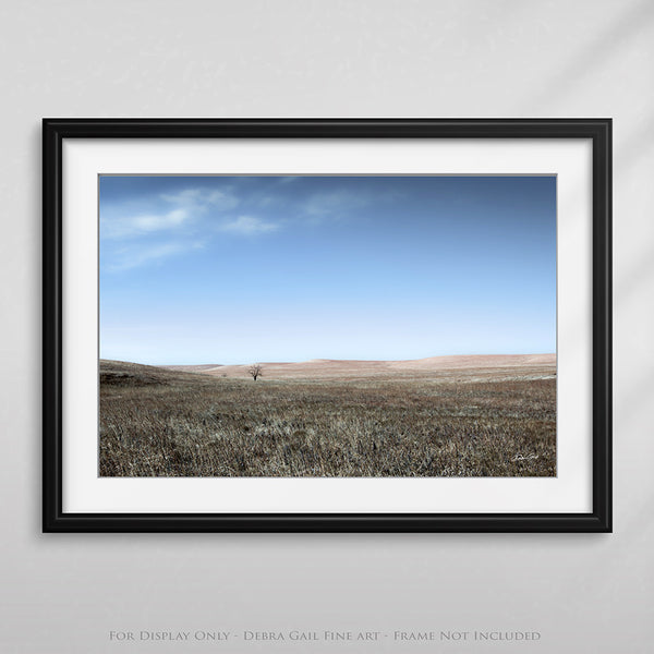 TREE ON THE TALLGRASS PRAIRIE ART PRINT OR CANVAS