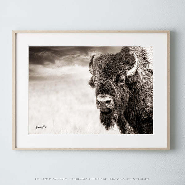 Majestic Bison Canvas Print - Original Photography by Debra Gail - Western Wall Art - Black and White Fine Art Print - Nature and Wildlife Photography - High Quality Home Decor - American Bison Image