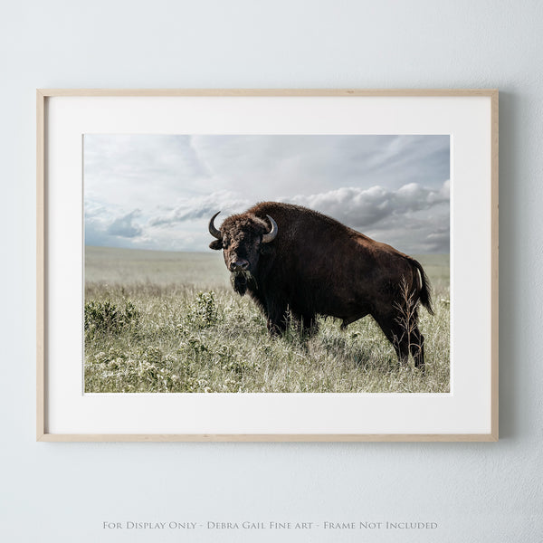 BIG BISON BULL ON THE PRAIRIE - RUSTIC WALL ART