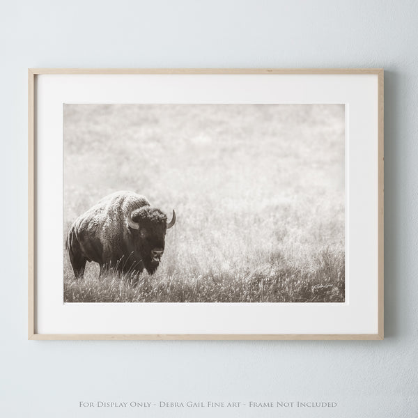 BISON PRINT IN NEUTRAL TONES - FARMHOUSE ART PRINT OR CANVAS