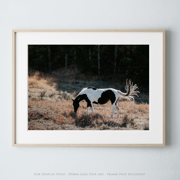 Horse Wall Art - Beautiful Home Decor Piece for Horse Lovers