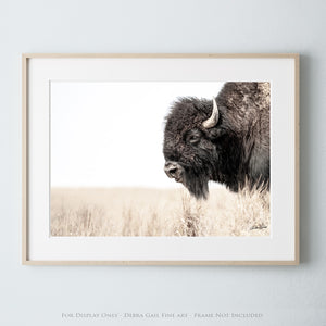 Bison wall art – rustic prairie photography print by Debra Gail Fine Art