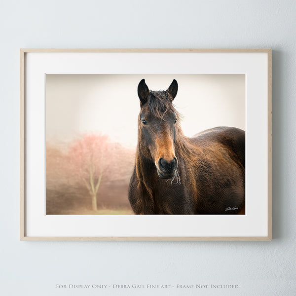 Wild Horse Art Print - Rustic Western Wall Decor - Wild Mustang