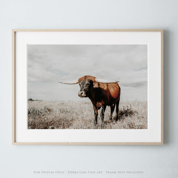 LARGE LONGHORN ART PRINT - WESTERN, TEXAS, OR FARMHOUSE DECOR